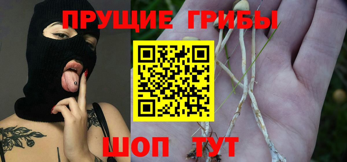 Псилоцибиновые грибы Cubensis Топки